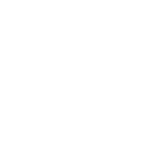 Telekom Partner